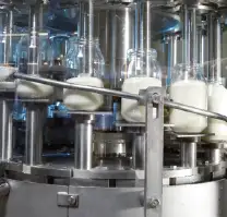 Covonor, conditionnement de mayonnaise